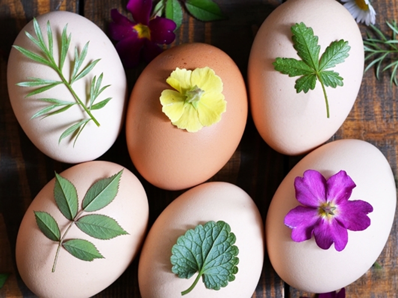 Πως να βάψουμε τα αυγά δημιουργώντας σχήματα λουλουδιών