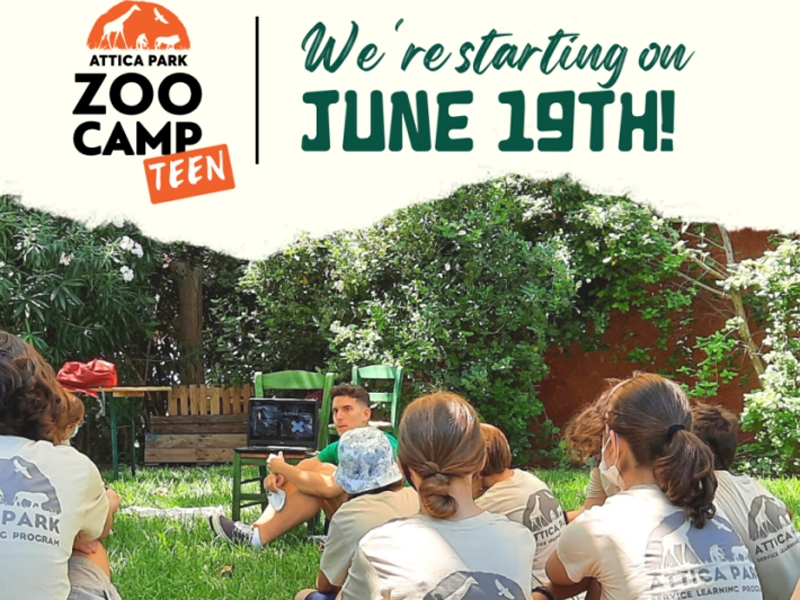 It’s time for Zoo Camp for TEENS!