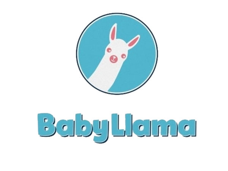 Baby Llama